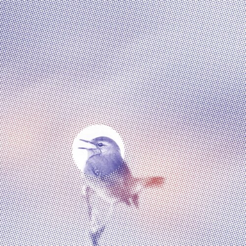 stille_musik_2