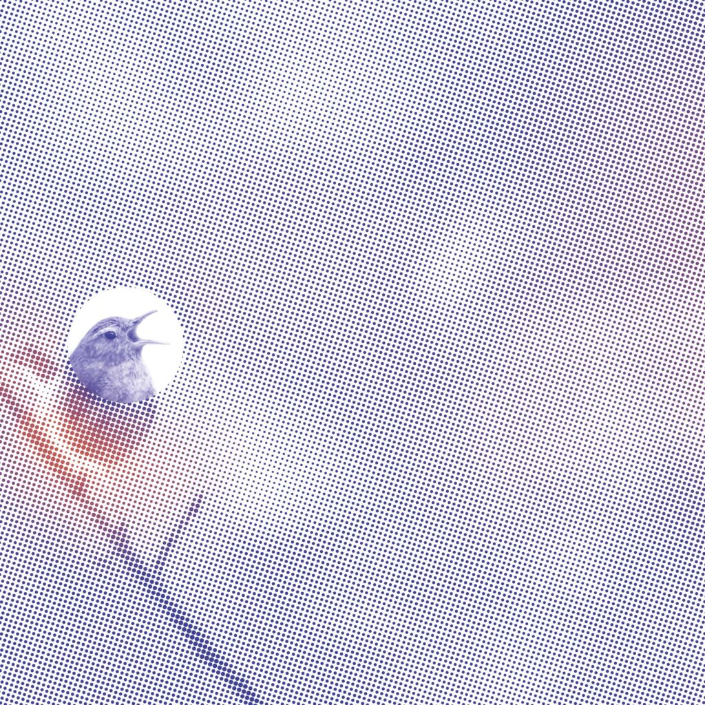stille_musik_3
