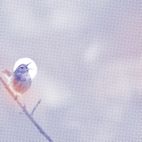 stille_musik_3